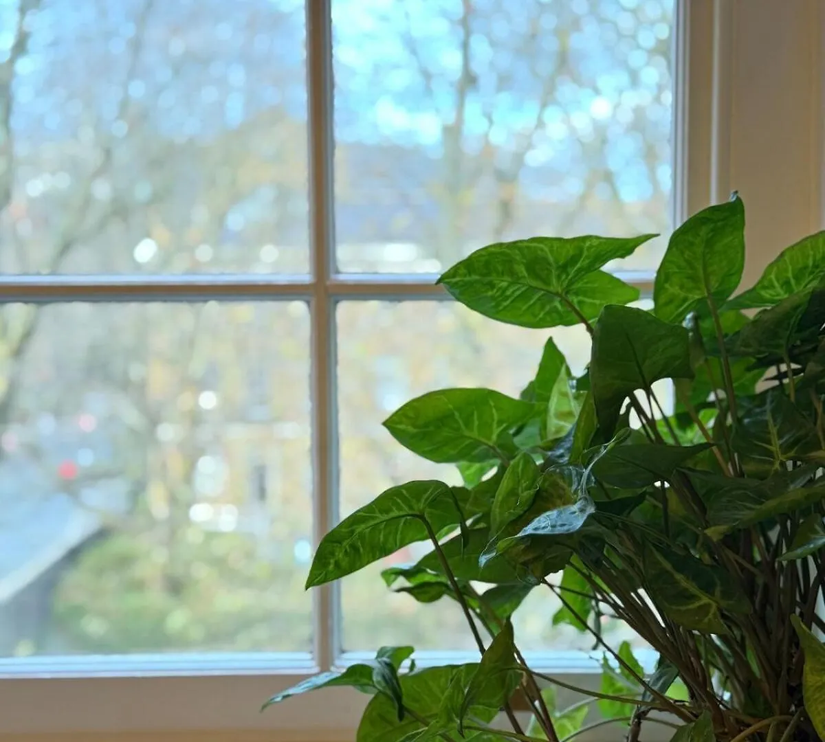 The Wapping Flat Apartment London United Kingdom